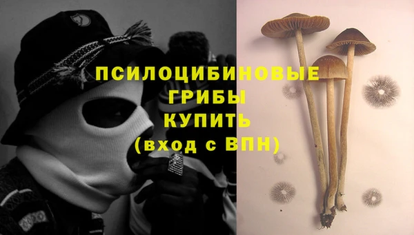 mdpv Арсеньев