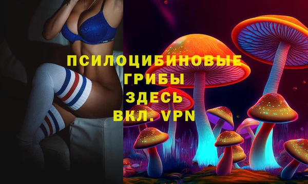 mdpv Арсеньев