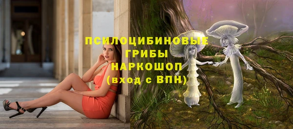 mdpv Арсеньев